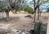 Chalet independiente con terreno en venta en la España, Deltebre, ref: TR270374 foto