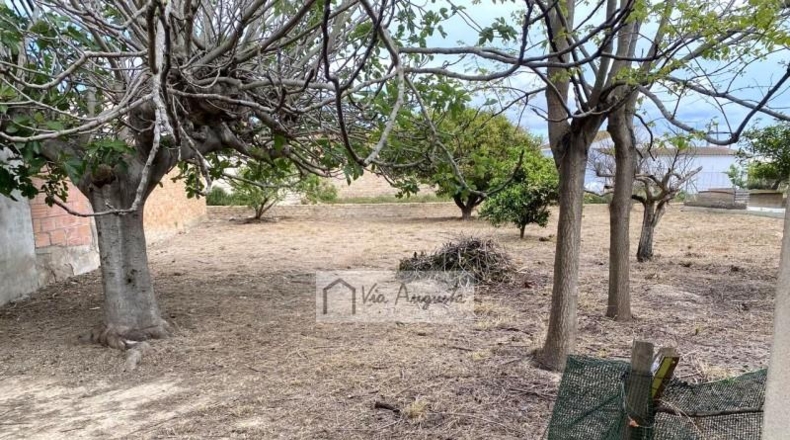 Tarragona - Deltebre - 700m2