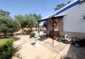 Xalet independent amb terreny en venda a la España, Valdepeñas, ref.: TR319649 foto