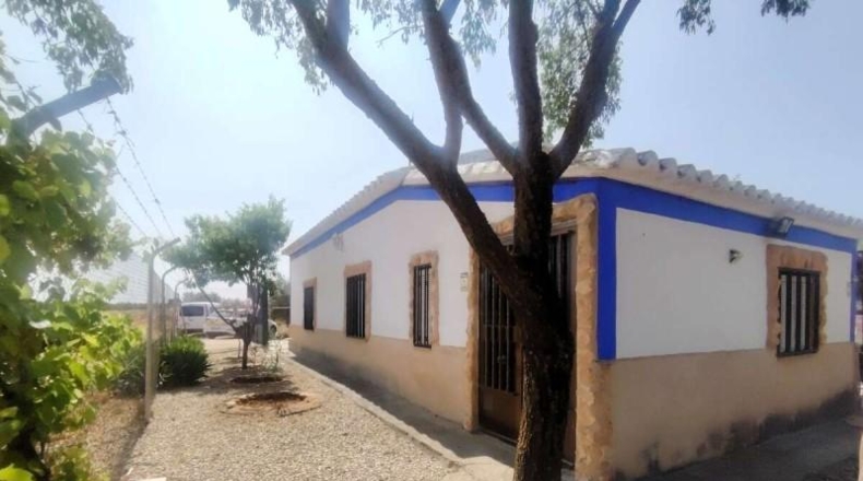 Ciudad Real - Вальдепеньяс - 9800m2