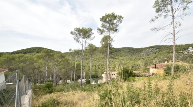 Barcelona - Olivella - 898m2