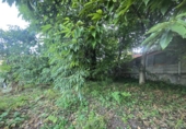 Chalet independiente con terreno en venta en la España, Oia, ref: TR343465 foto