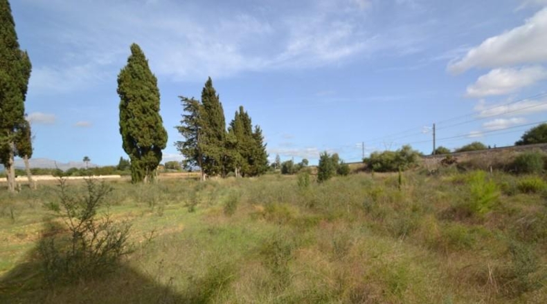 Balearic Islands - Muro - 7271m2