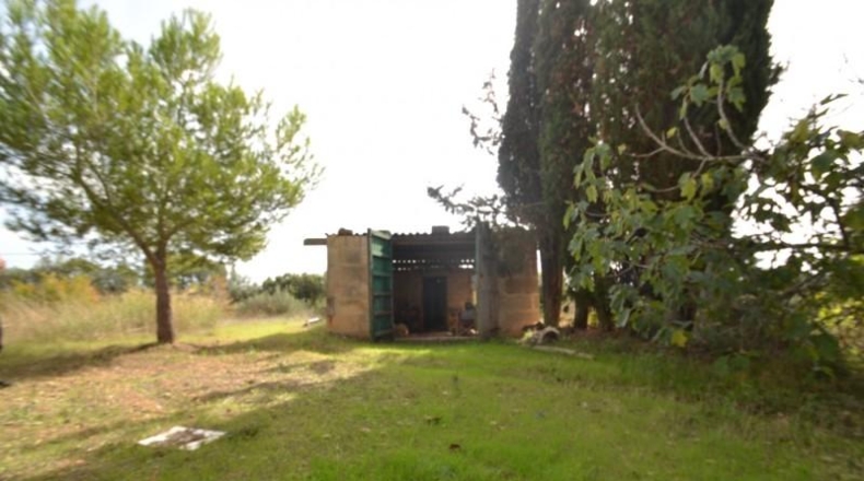 Balearic Islands - Muro - 7271m2