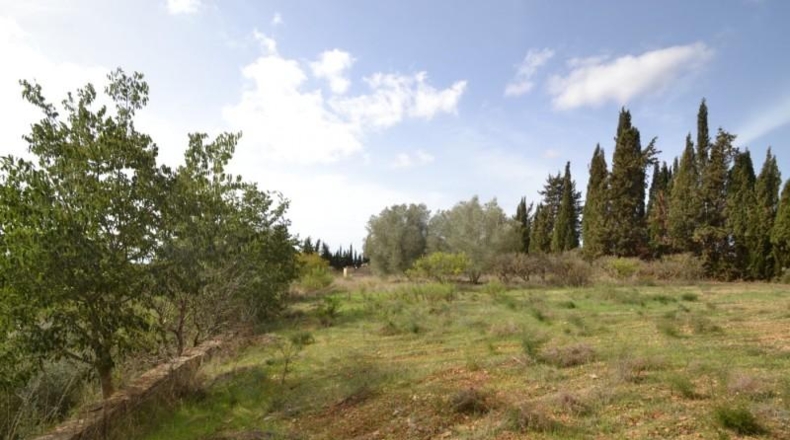 Balearic Islands - Muro - 7271m2