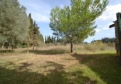 Casa amb terreny en venda a la España, Muro, ref.: TR303882 foto