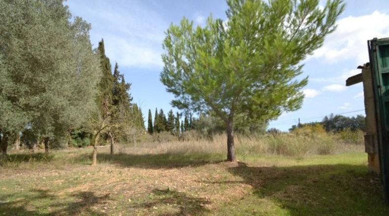 Balearic Islands - Muro - 7271m2