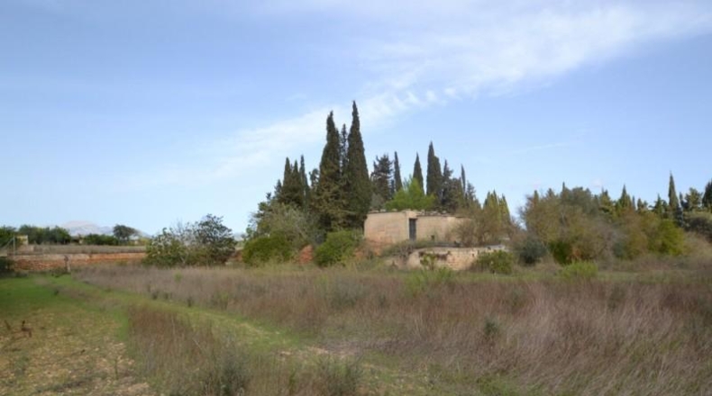 Balearic Islands - Muro - 7271m2