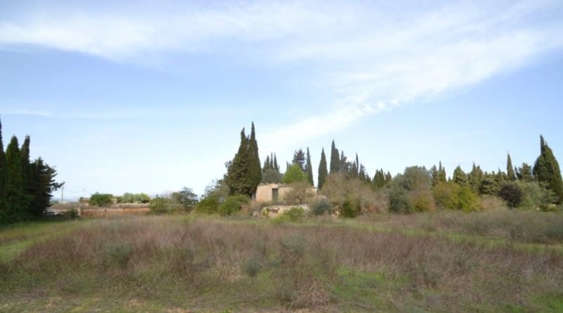 Balearic Islands - Muro - 7271m2