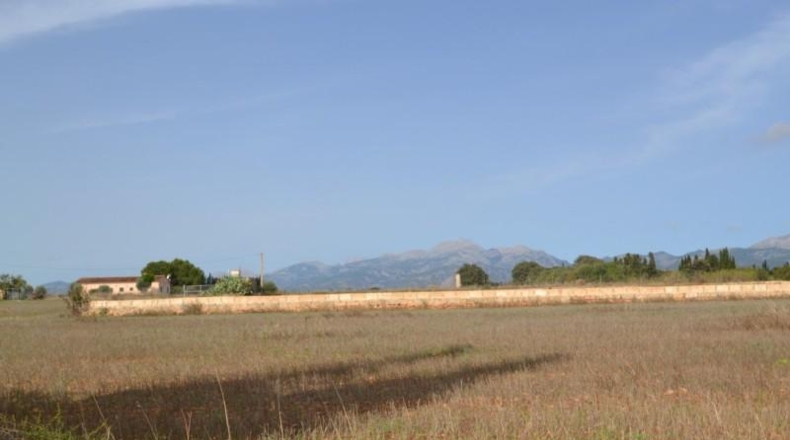 Balearic Islands - Muro - 7271m2