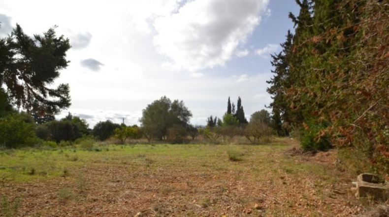 Balearic Islands - Muro - 7271m2