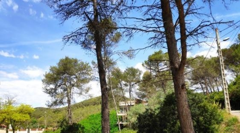Barcelona - Olivella - 952m2
