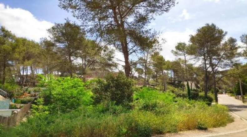 Barcelona - Olivella - 952m2