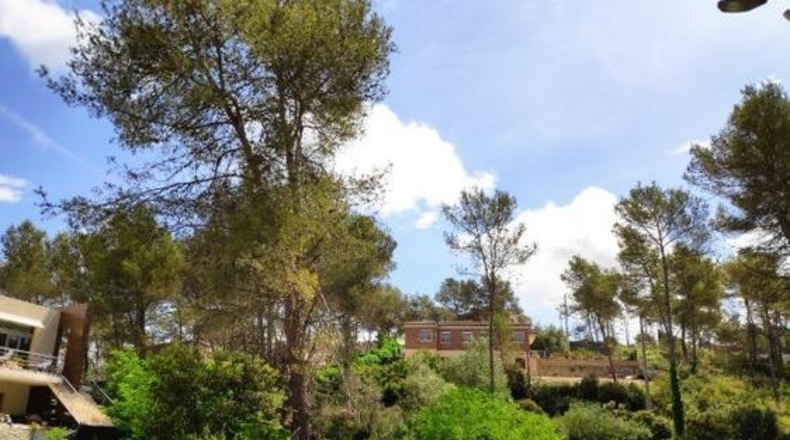 Barcelona - Olivella - 952m2