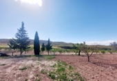Casa de camp amb terreny en venda a la España, Los Baños de Mula, ref.: TR269484 foto