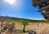 Casa de camp amb terreny en venda a la España, Los Baños de Mula, ref.: TR269484 foto