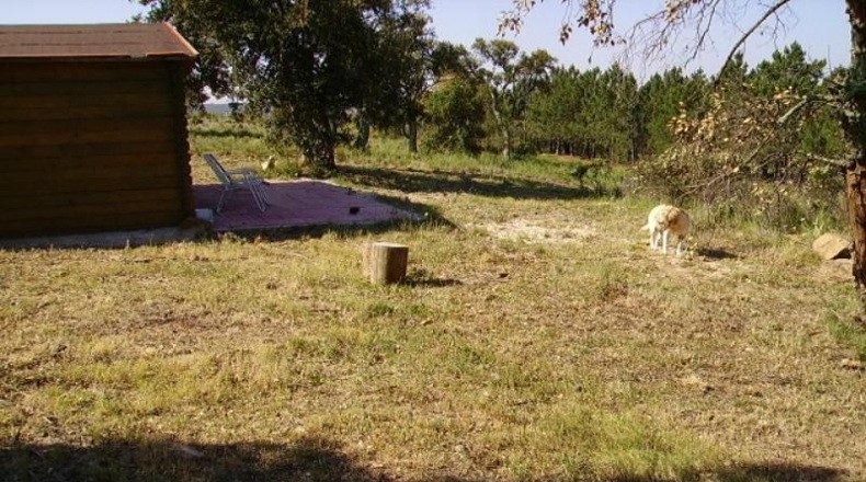 Gerona - Garriguella - 18000m2