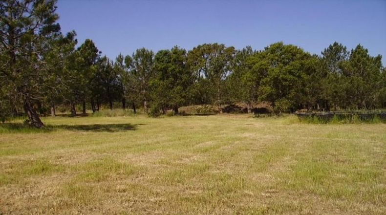 Gerona - Garriguella - 18000m2