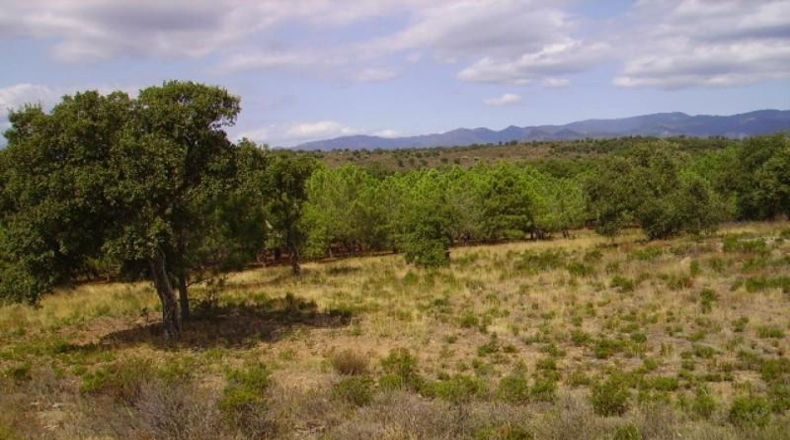 Gerona - Garriguella - 18000m2