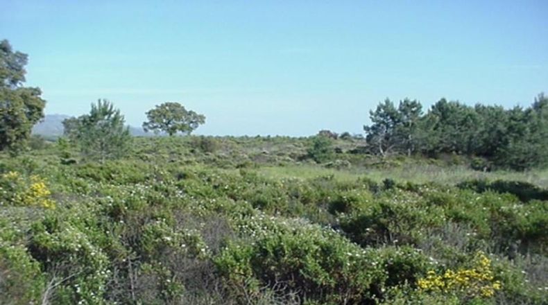 Gerona - Garriguella - 18000m2