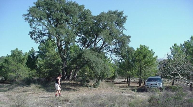 Gerona - Garriguella - 18000m2