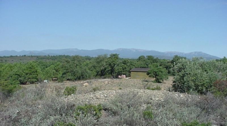 Gerona - Garriguella - 18000m2
