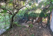Land suitable for development for sale on España, La Font d'en Carròs, ref: TR309973 photo