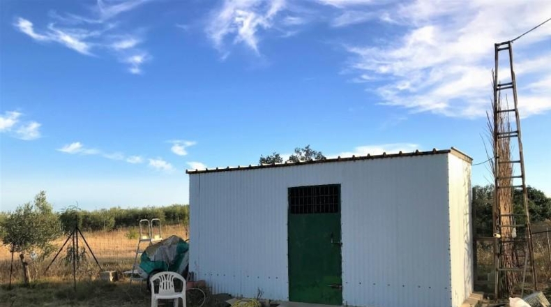 Huelva - Rociana del Condado - 4700m2