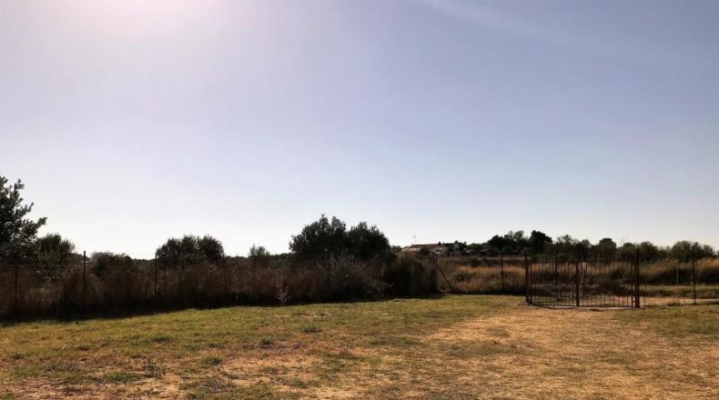Huelva - Rociana del Condado - 4700m2