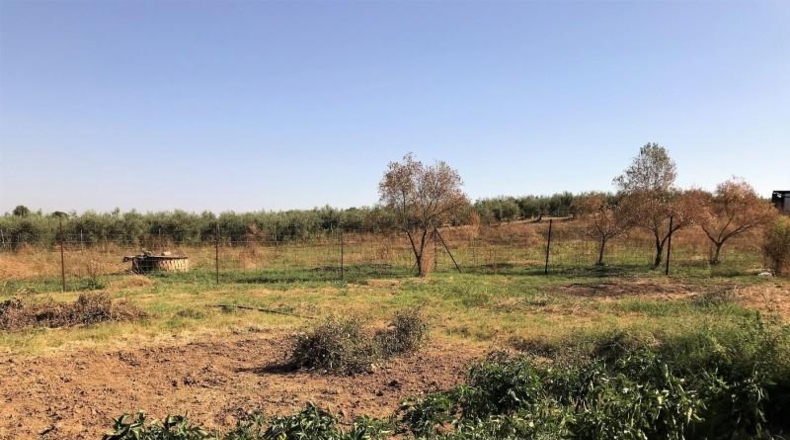 Huelva - Rociana del Condado - 4700m2