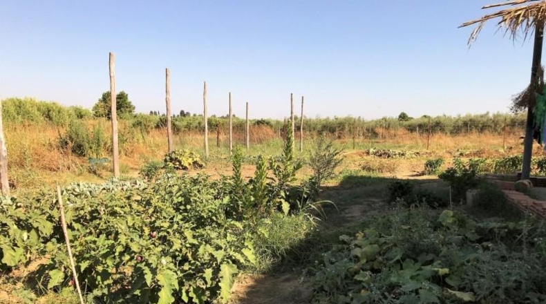 Huelva - Rociana del Condado - 4700m2