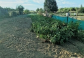 Отдельно стоящий дом с участком на продажу в городе Rociana del Condado Фото