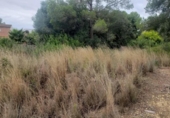 Sòl urbà en venda a la España, el Catllar, ref.: TR337564 foto