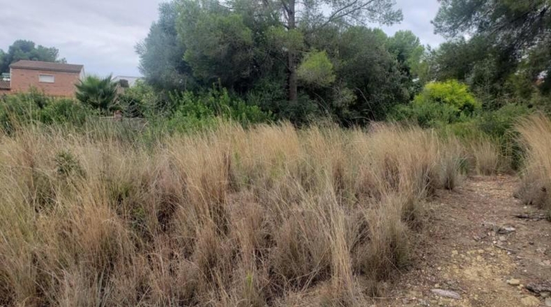 Tarragona - el Catllar - 1165m2