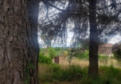 Sòl urbà en venda a la España, el Catllar, ref.: TR337564 foto