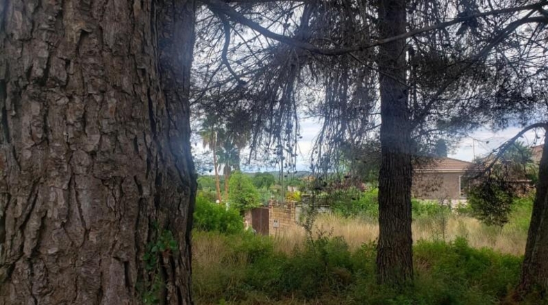 Tarragona - el Catllar - 1165m2