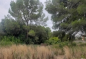 Sòl urbà en venda a la España, el Catllar, ref.: TR337564 foto