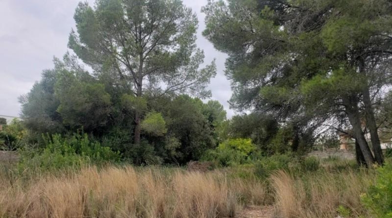 Tarragona - el Catllar - 1165m2