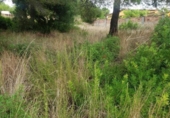 Sòl urbà en venda a la España, el Catllar, ref.: TR337564 foto