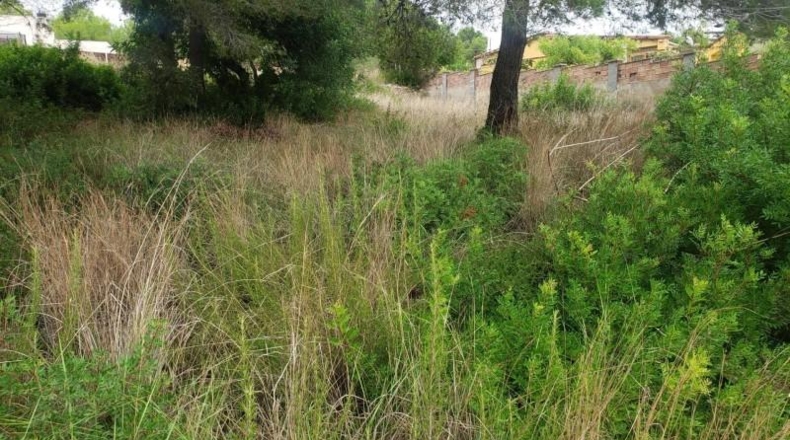 Tarragona - el Catllar - 1165m2