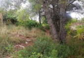 Sòl urbà en venda a la España, el Catllar, ref.: TR337564 foto