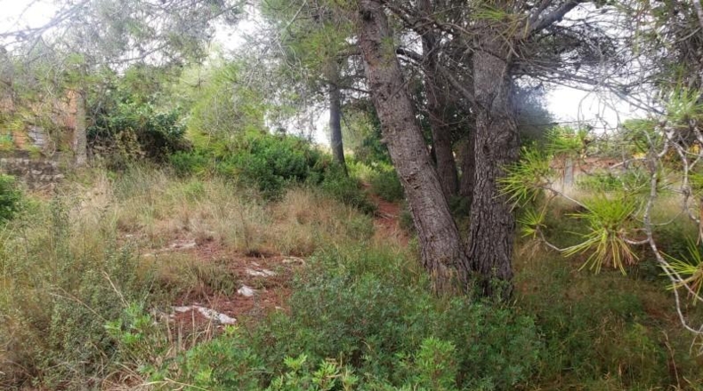 Tarragona - el Catllar - 1165m2