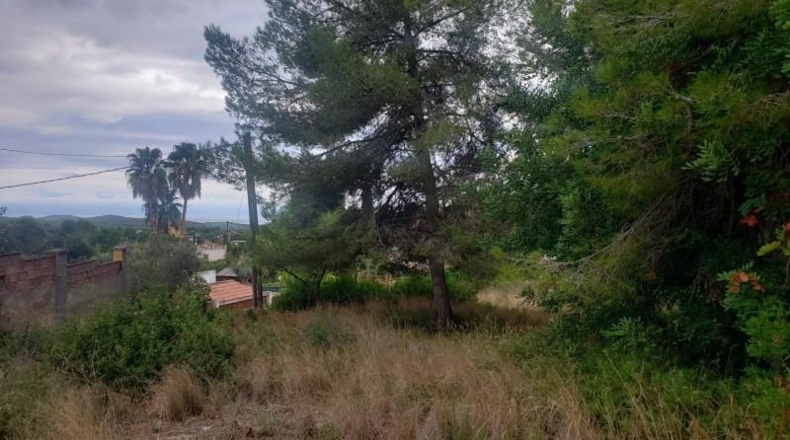 Tarragona - el Catllar - 1165m2