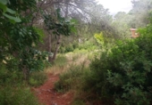 Sòl urbà en venda a la España, el Catllar, ref.: TR337564 foto