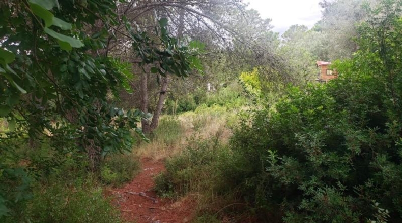Tarragona - el Catllar - 1165m2