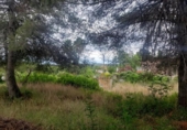 Sòl urbà en venda a la España, el Catllar, ref.: TR337564 foto