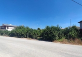 Suelo urbano en venta en la España, Murcia, ref: TR337300 foto
