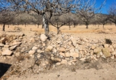 Casa de campo con terreno en venta en la España, Jumilla, ref: TR313790 foto