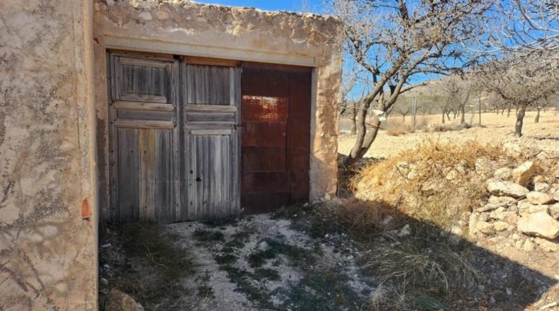 Murcia - Jumilla - 7000m2