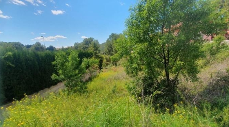 Castellón - Borriol - 413m2